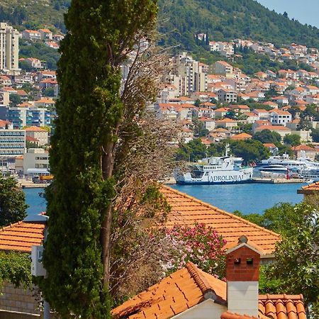 Apartment Niko Dubrovnik Eksteriør bilde